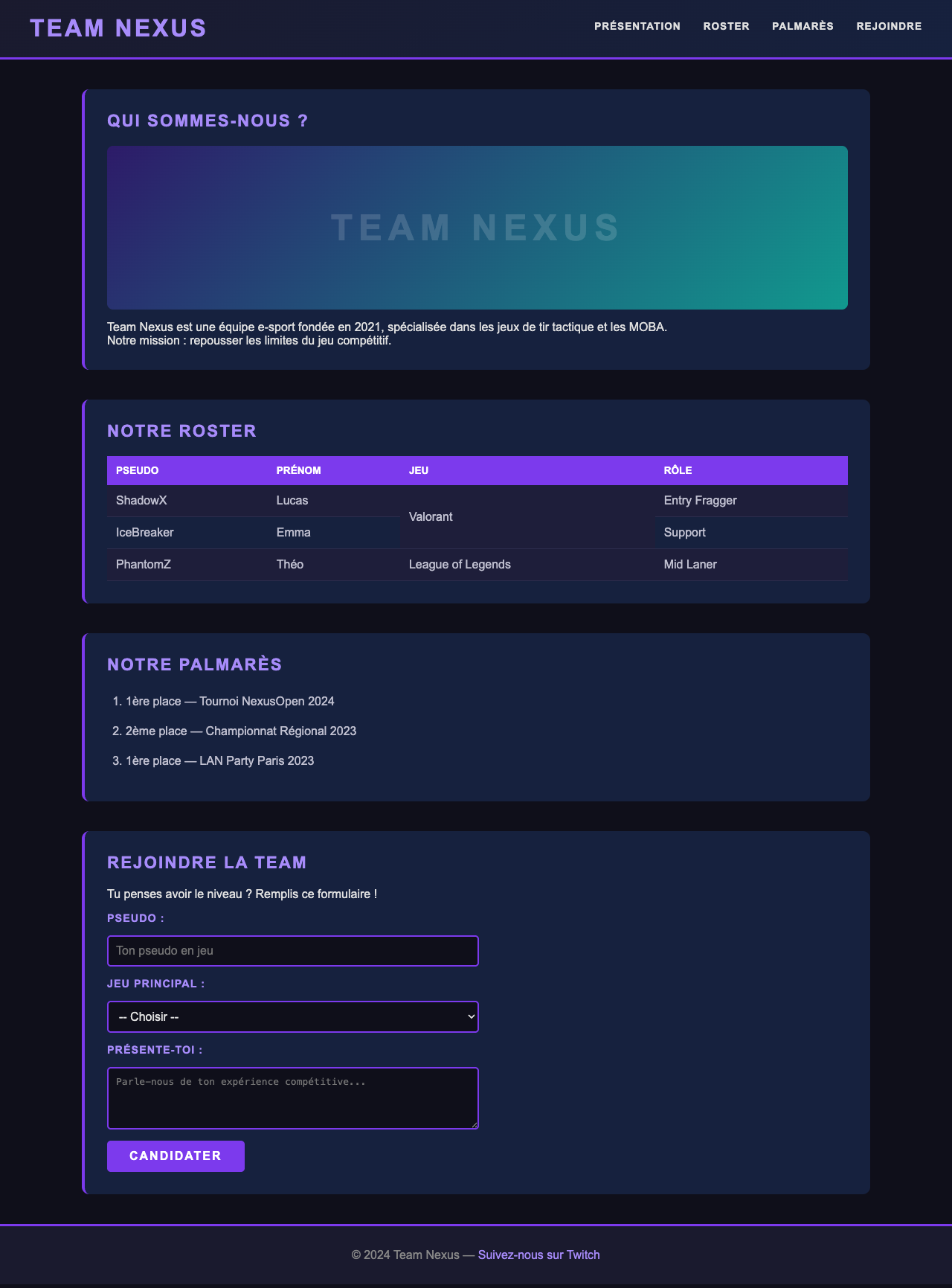 Aperçu du site Team Nexus finalisé